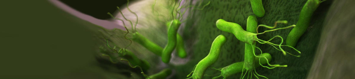 What is Urease? - Watercress Research